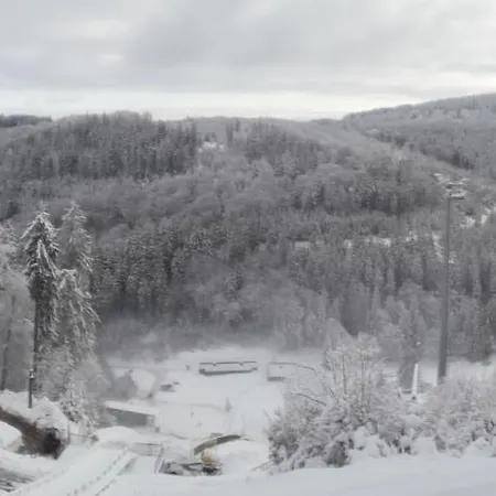 Ferienhaus Haus Sonneck Willingen (Upland)