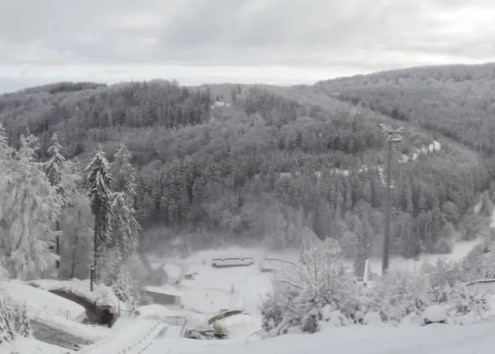 Ferienhaus Haus Sonneck Willingen (Upland)